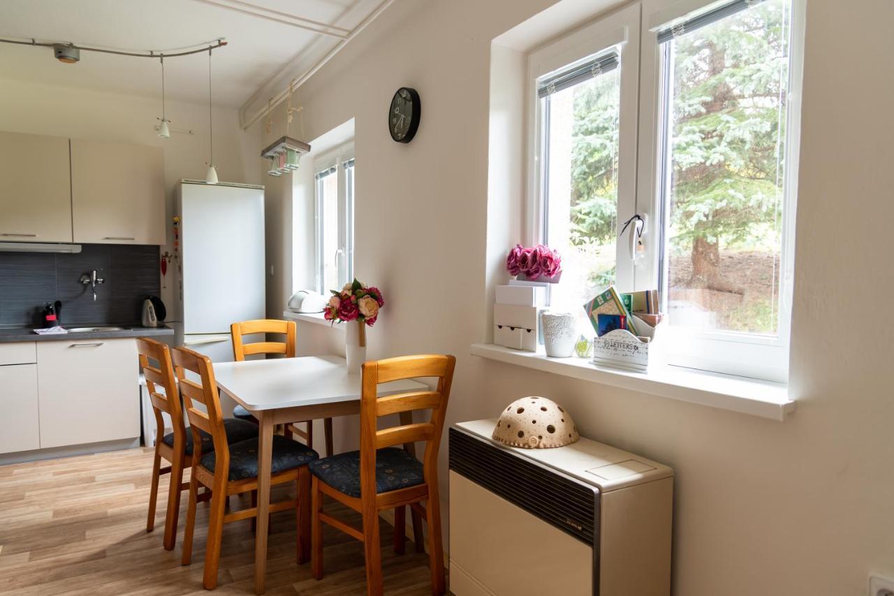 Apartman Fraise Διαμέρισμα Ντέτσιν Εξωτερικό φωτογραφία